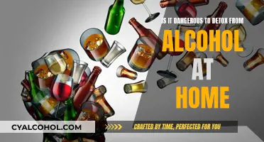 Alcohol Detox: Home Treatment Can Be Deadly