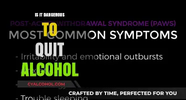 Quitting Alcohol: Understanding the Risks and Safe Withdrawal Strategies