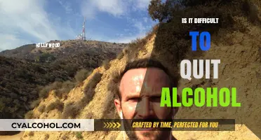 Quitting Alcohol: Unraveling the Challenges and Path to Sobriety