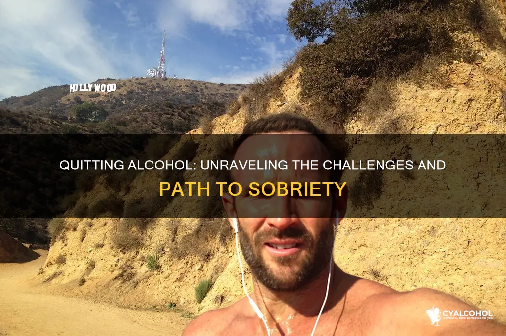 is it difficult to quit alcohol