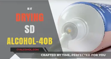 Is SD Alcohol 40B Drying Out Your Skin? Find Out Here