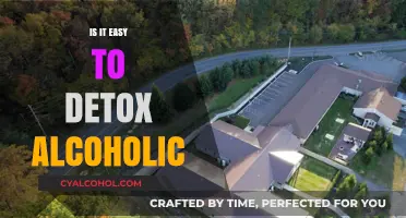 Detoxing from Alcohol: Understanding the Challenges and Path to Recovery