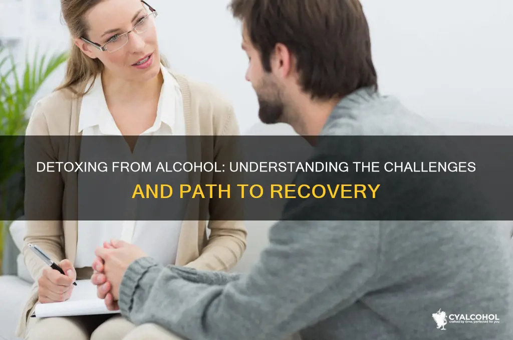is it easy to detox alcoholic