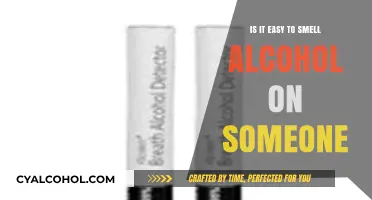 How to Detect Alcohol on Someone's Breath
