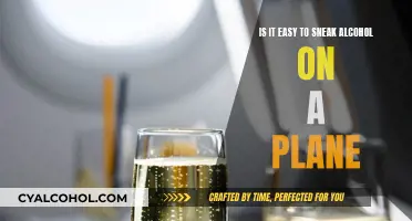 How to Sneak Alcohol on a Plane Easily