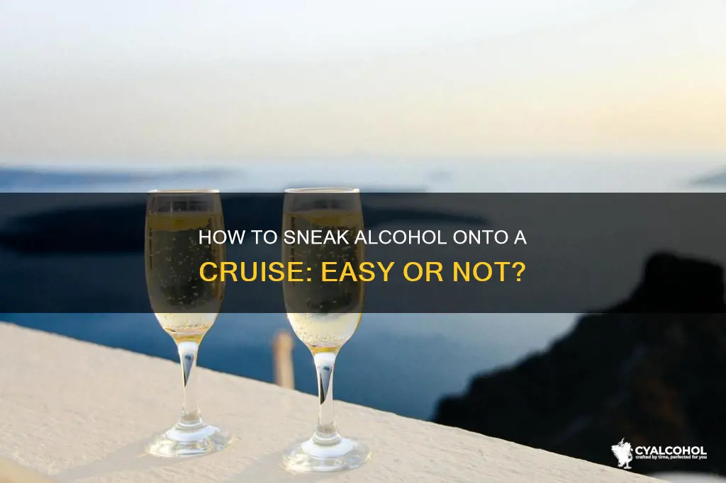 is it easy to sneak alcohol onto a crise