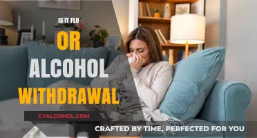 Flu or Alcohol Withdrawal: Recognizing Symptoms and Seeking Help