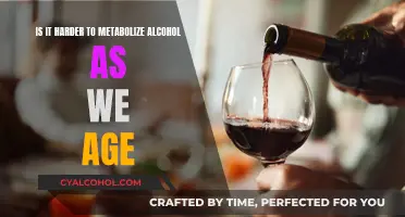 Alcohol Metabolism: Aging and Its Impact