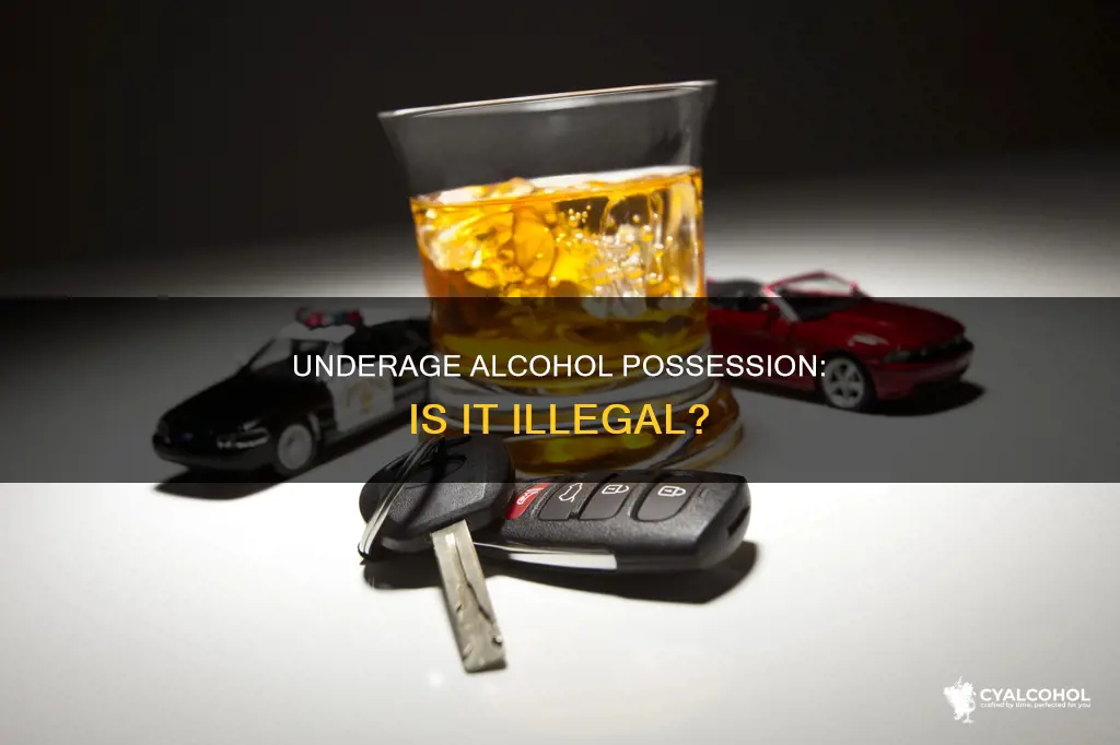 is it illegal for someone under 21 to possess alcohol