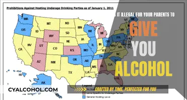 Underage Drinking: Is It Legal for Parents to Provide?