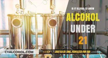 Brewing Alcohol: Underage Legalities Explained