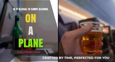 Alcohol on a Plane: What's the Law?