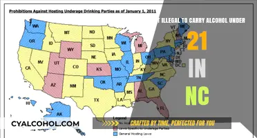 Alcohol Laws in NC: Under 21 and Consequences