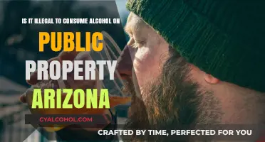 Alcohol Consumption Laws in Arizona: Public Spaces