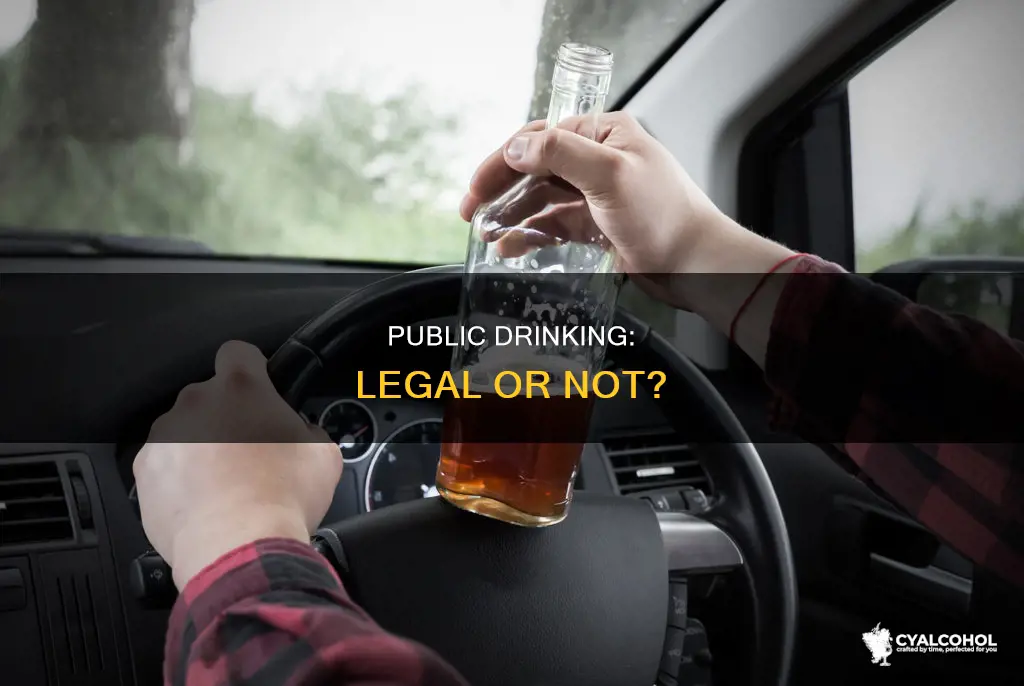 is it illegal to consume alcohol on public property