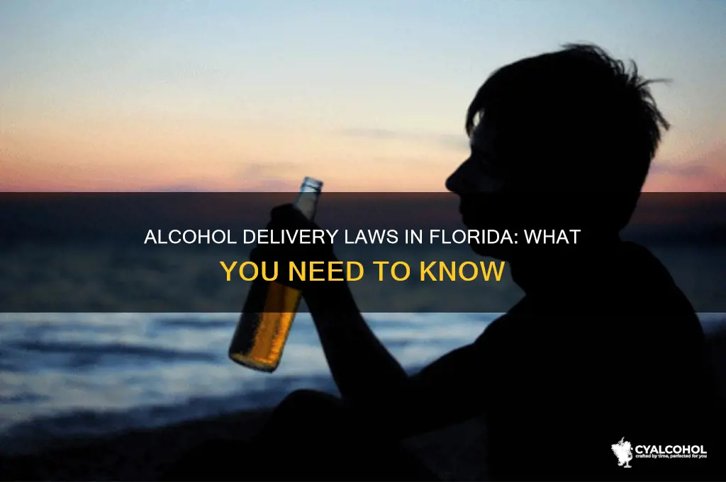is it illegal to deliver alcohol in florida