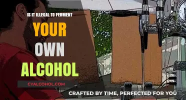 Fermenting Alcohol at Home: Is It Legal?