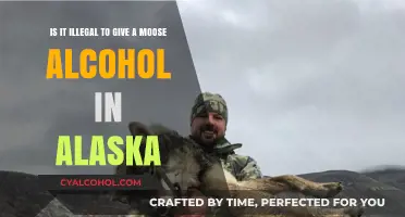 Moose and Alcohol: Alaska's Unlikely Duo