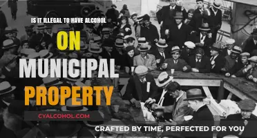 Alcohol on Municipal Property: What's the Law?