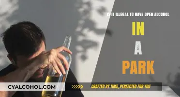 Alcohol in Parks: What's Legal and What's Not