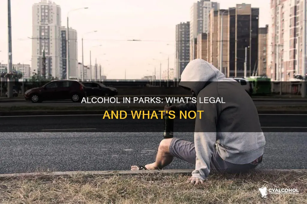 is it illegal to have open alcohol in a park