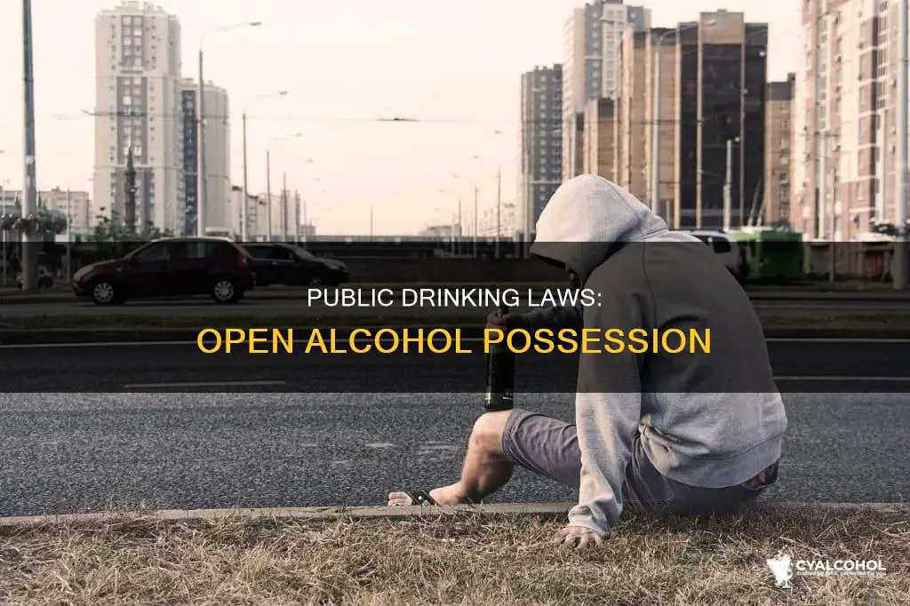 is it illegal to have open alcohol in public