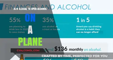 Alcohol on a Plane: What's the Law?
