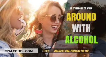 Public Drinking Laws: Open Container Violations