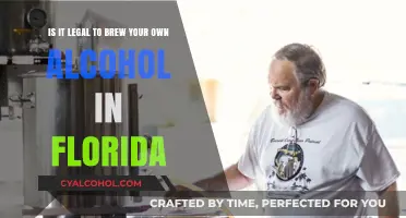 Homebrewing in Florida: What's the Legal Status?