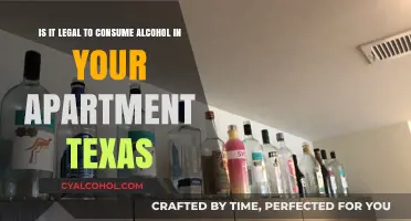 Alcohol Consumption in Texas Apartments: What's the Law?