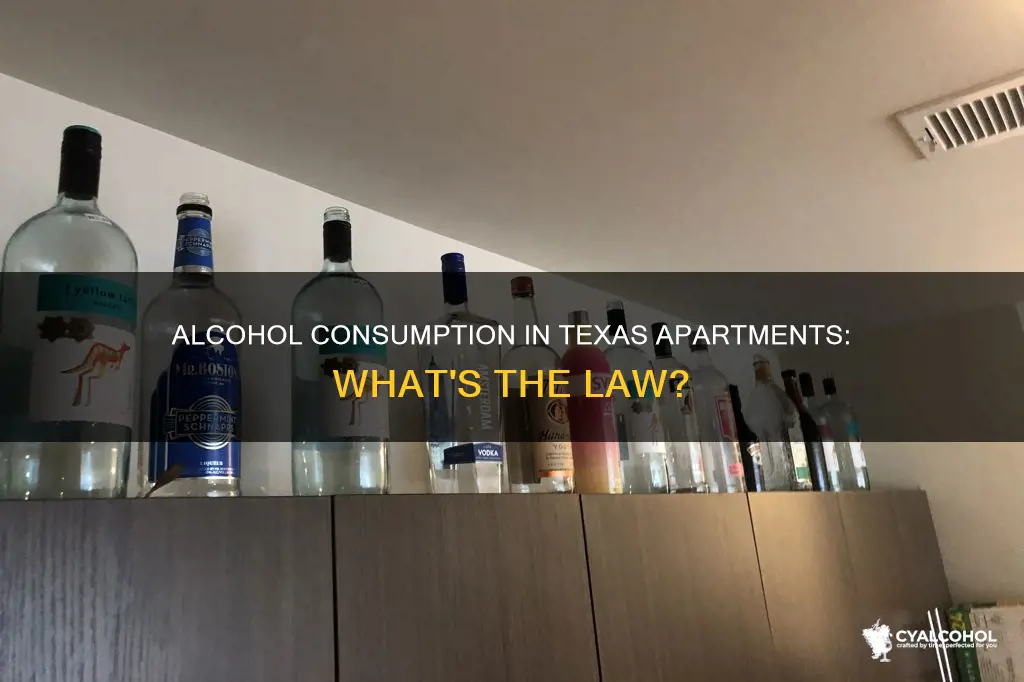 is it legal to consume alcohol in your apartment texas