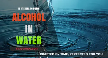 The Legality of Dumping Alcohol into Water Bodies