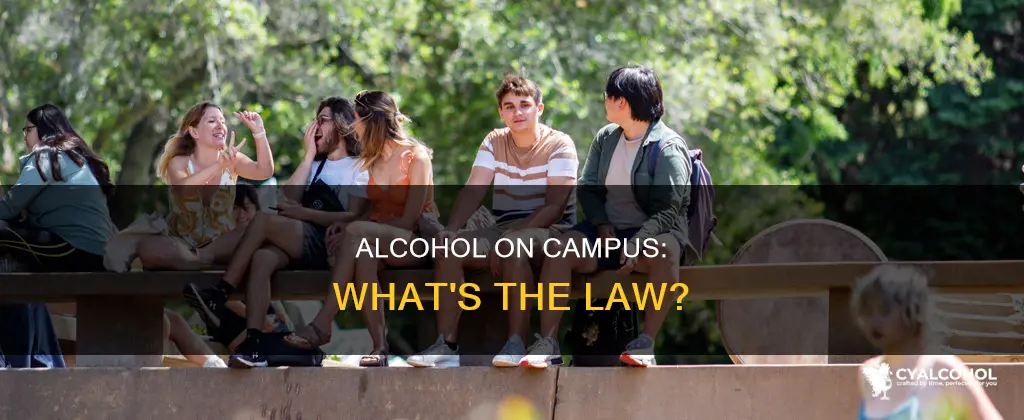 is it legal to have alcohol on a college campus