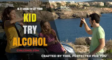 Exploring the Legal Boundaries of Kids and Alcohol