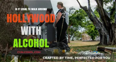 Exploring Alcohol Laws in Hollywood