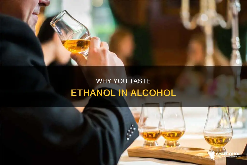 is it natural to taste the ethanol in alcohol