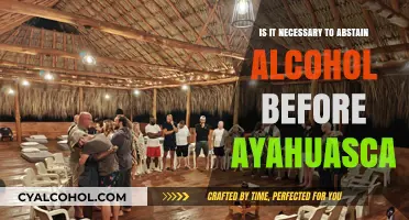 Ayahuasca Preparation: Should You Abstain from Alcohol Beforehand?