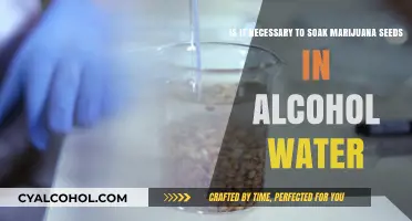 Marijuana Seeds: Alcohol Soak for Better Growth?