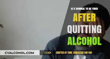 Why Quitting Alcohol Leaves You Feeling Exhausted