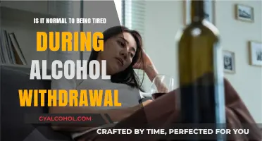 Alcohol Withdrawal: Why Do You Feel Tired?