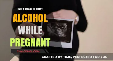 Pregnancy and Alcohol Cravings: Understanding Normalcy and Risks