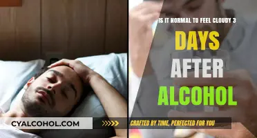Alcohol Hangover: Brain Fog Days Later