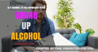 Quitting Alcohol: Why Do I Feel Depressed?