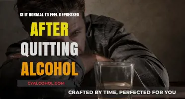 Alcohol Cessation and Depression: What's the Link?