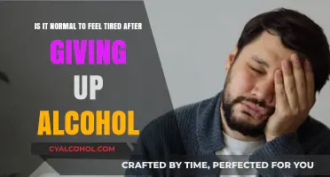 Quitting Alcohol: Why Do I Still Feel Tired?