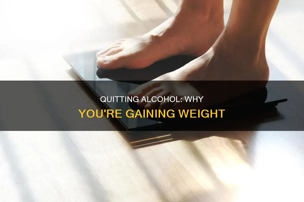 is it normal to gain weight after quitting alcohol
