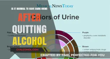 Quitting Alcohol: Why Is Your Urine Dark?