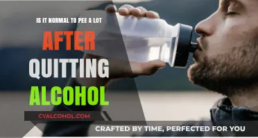 Quitting Alcohol: Why Am I Urinating So Often?