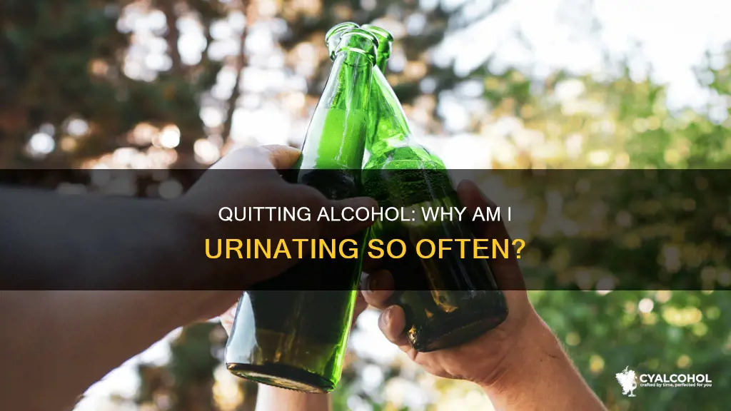 is it normal to pee a lot after quitting alcohol