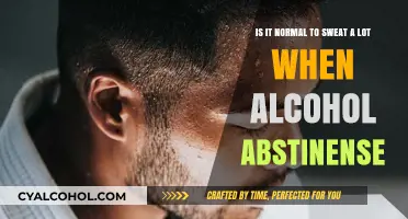Alcohol Abstinence: Why Do I Sweat So Much?
